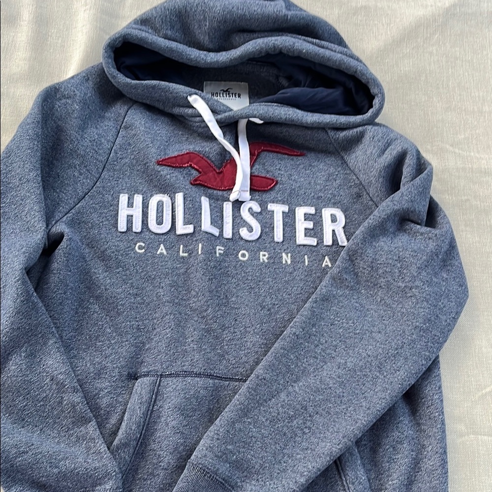 Hollister Gray and Red Hoodie Sweatshirt